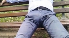 daddy bulge