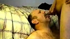 Daddy Bears Sucking And Fucking